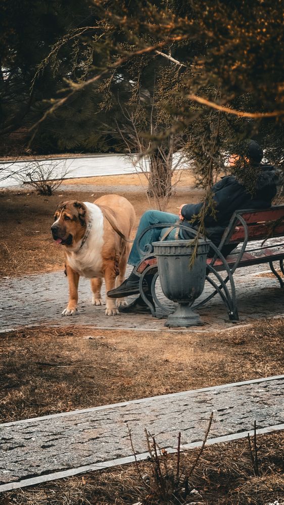 Photograph by Александр Лубков