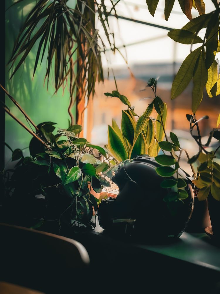 Photograph by Александр Лубков