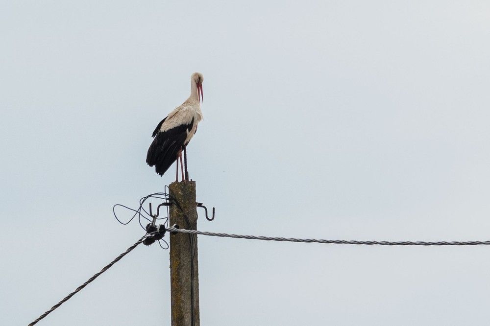 Photograph by Янина Найденцева