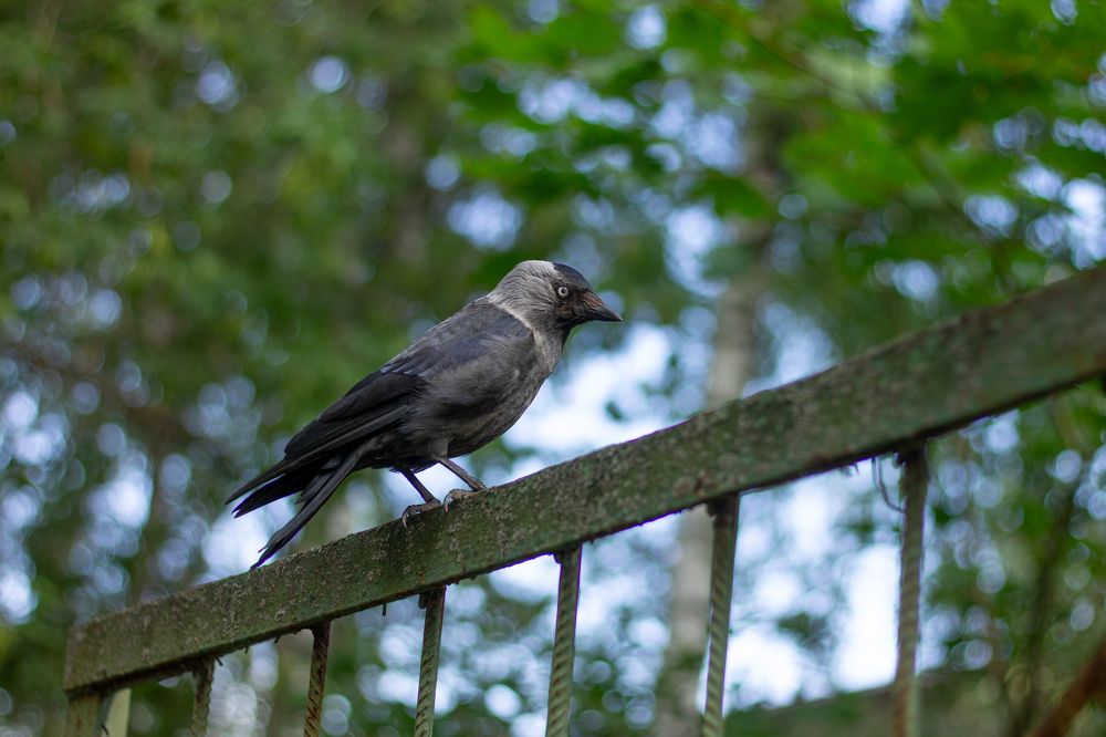 Photograph by Дарья Улюсова