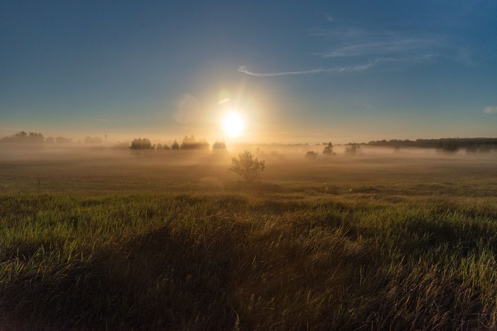 Photograph by Алексей