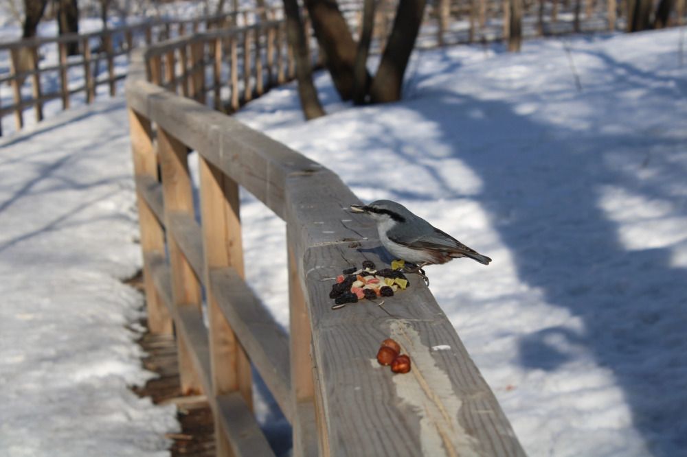 Photograph by Эльвира Куликова