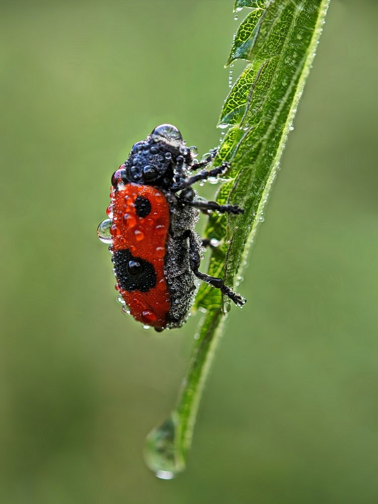 Photograph by Кузнецов Дмитрий