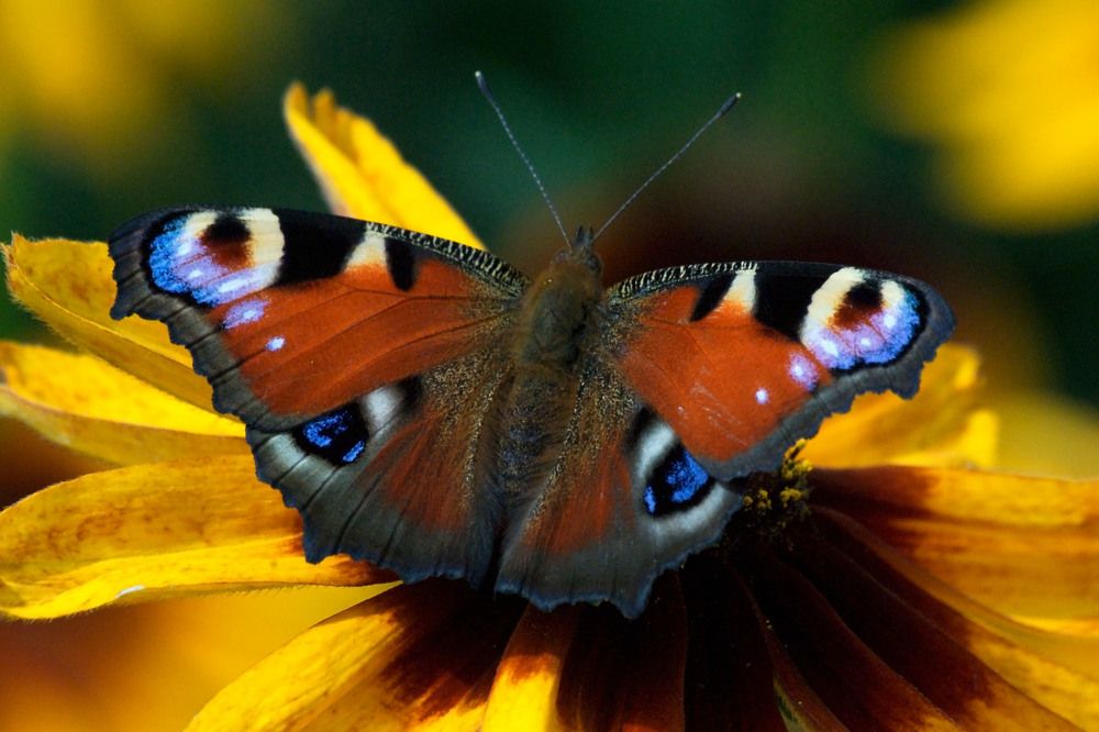 Photograph by Yroslava Veretina