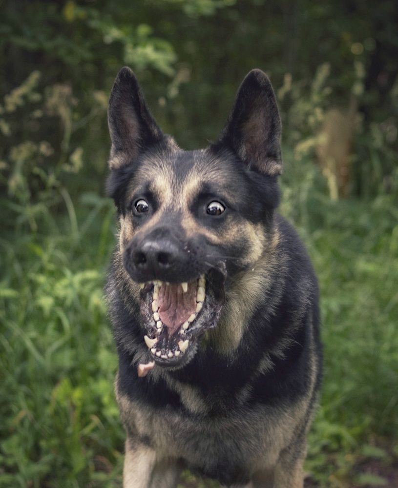 Photograph by Татьяна