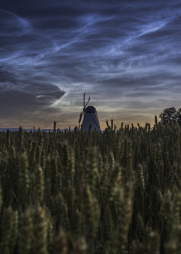 Photograph by Nikolai Mordan