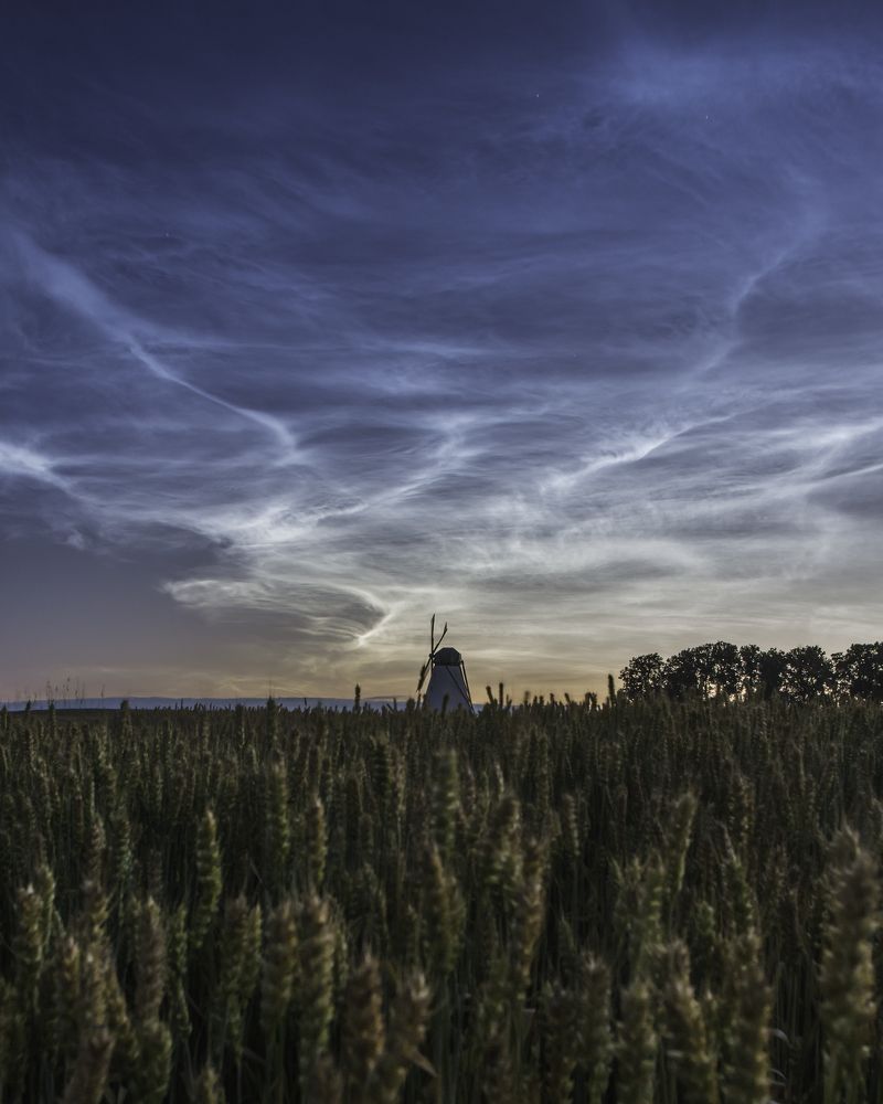 Photograph by Nikolai Mordan