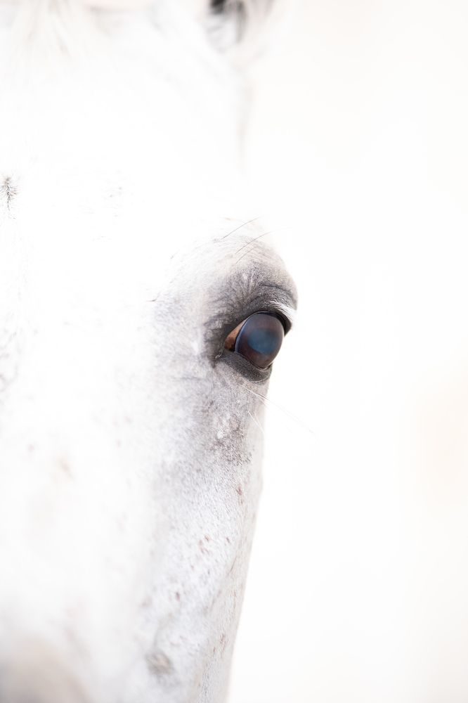 Photograph by Hazeem Hamza