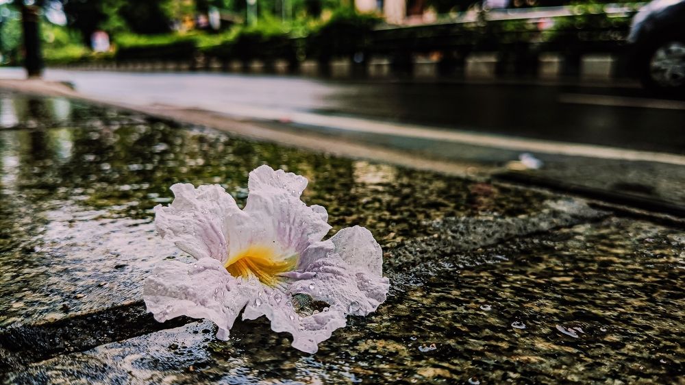 Photograph by Trinmay Bera