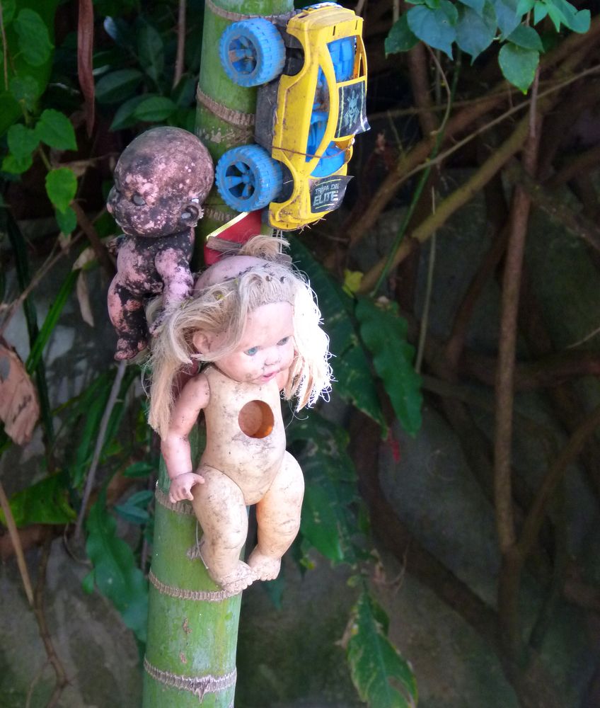 Фотография автора Silvia Tereza Ferrante de Lima