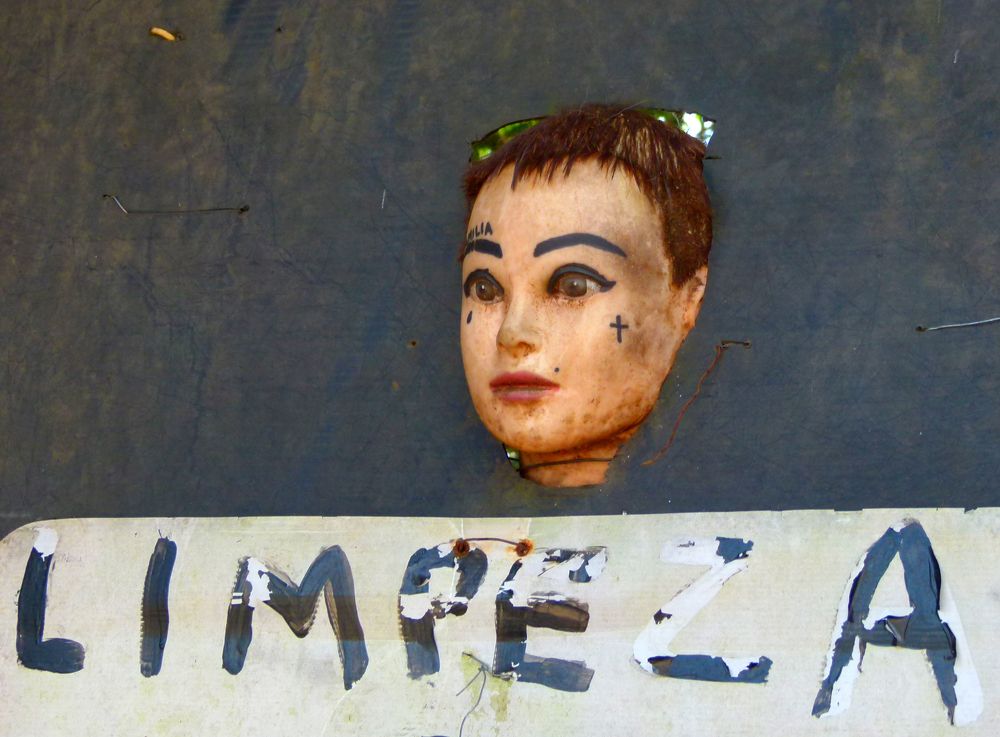 Фотография автора Silvia Tereza Ferrante de Lima