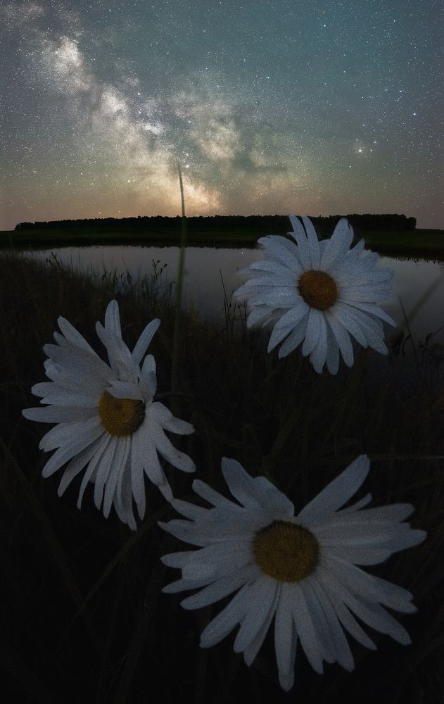 Под светом звёзд