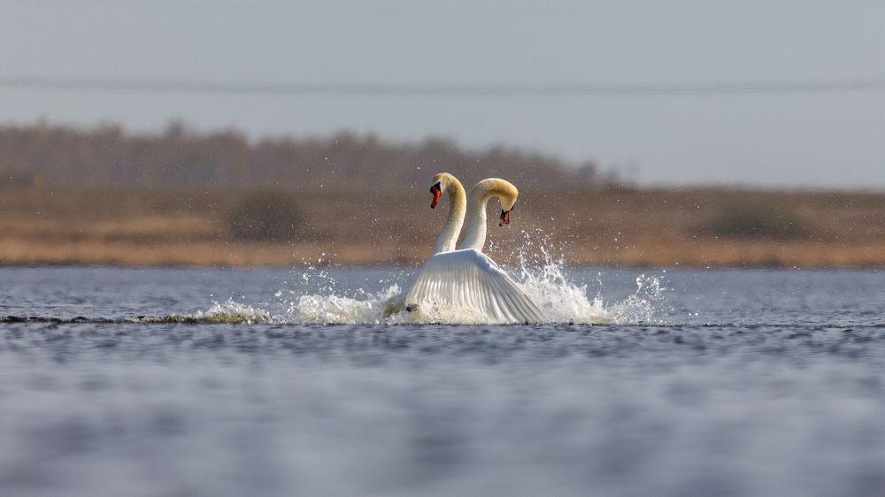 Photograph by crashfil