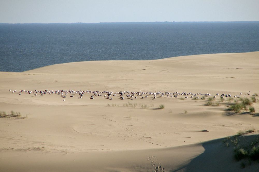 Photograph by Сергей Пушкин