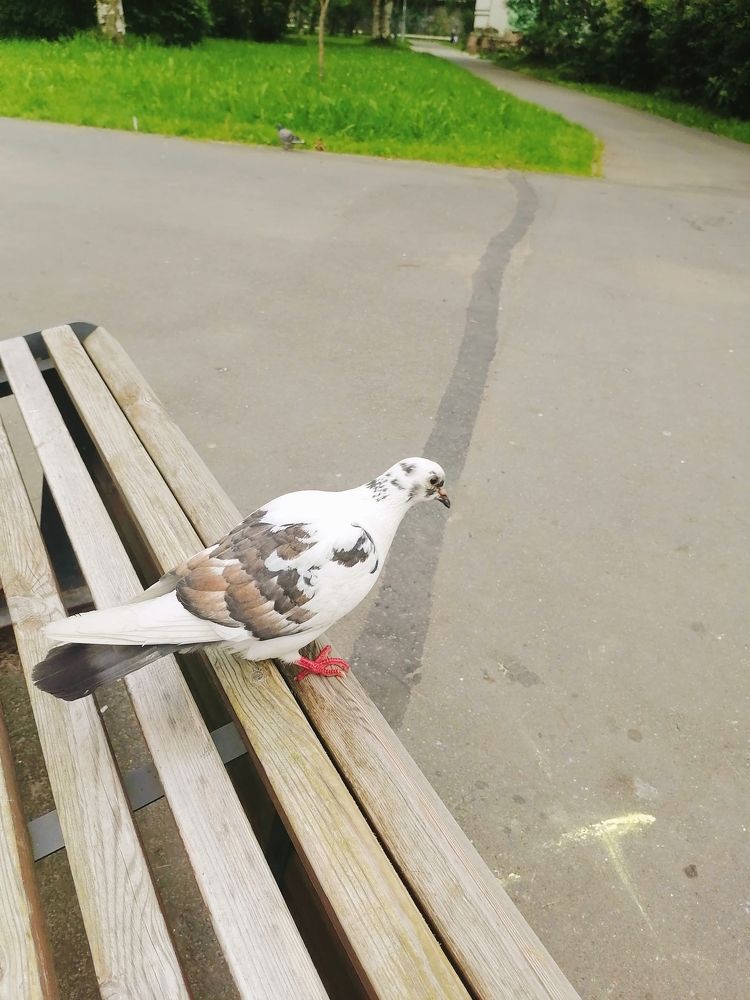 Photograph by Татьяна Бешенкина