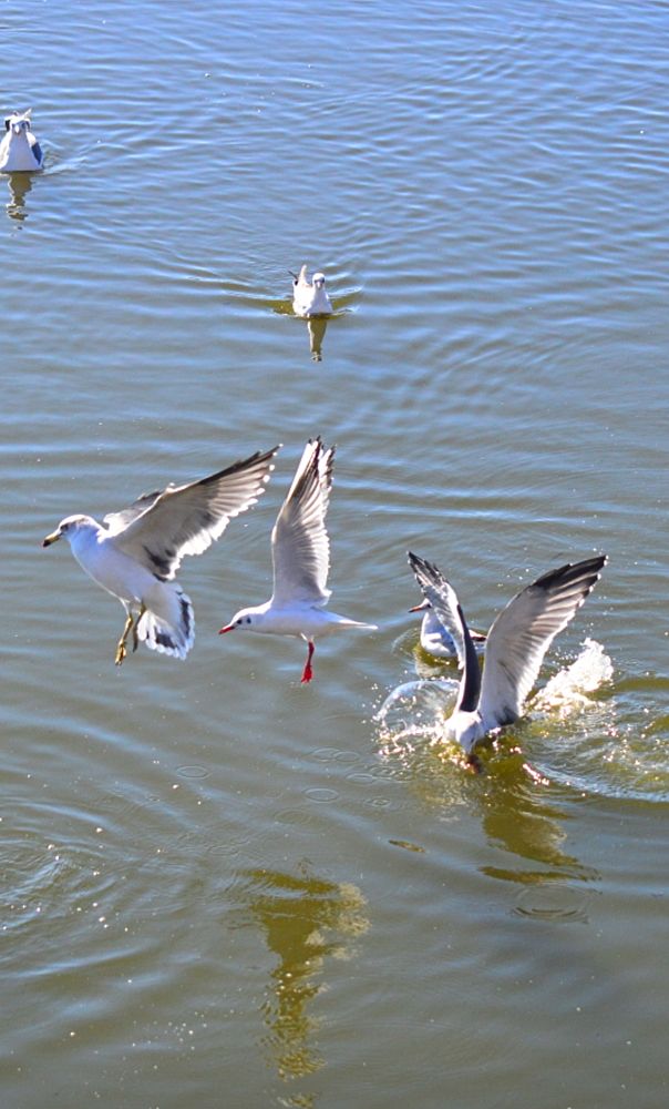 Photograph by Natalia Kopeva