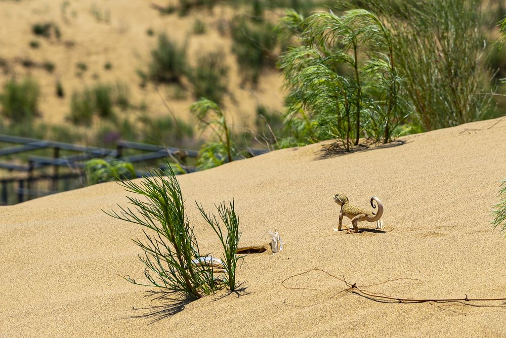 Photograph by Дмитрий Садов