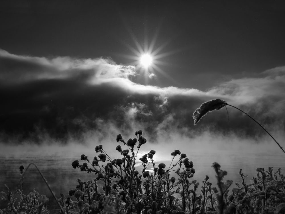 Photograph by Елена Шишкина