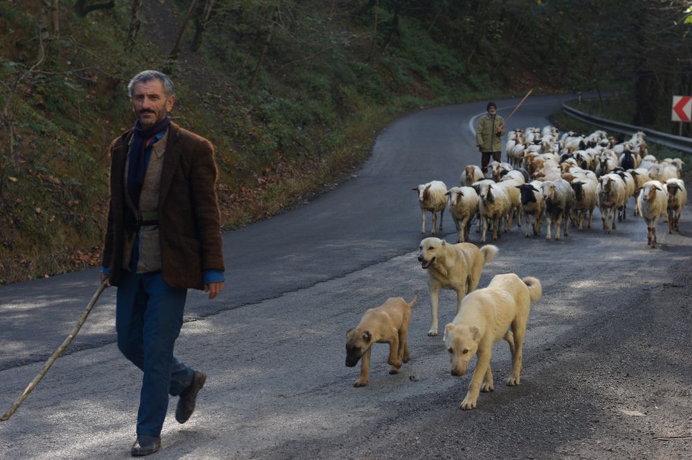 Photograph by Mina Mamdouhi