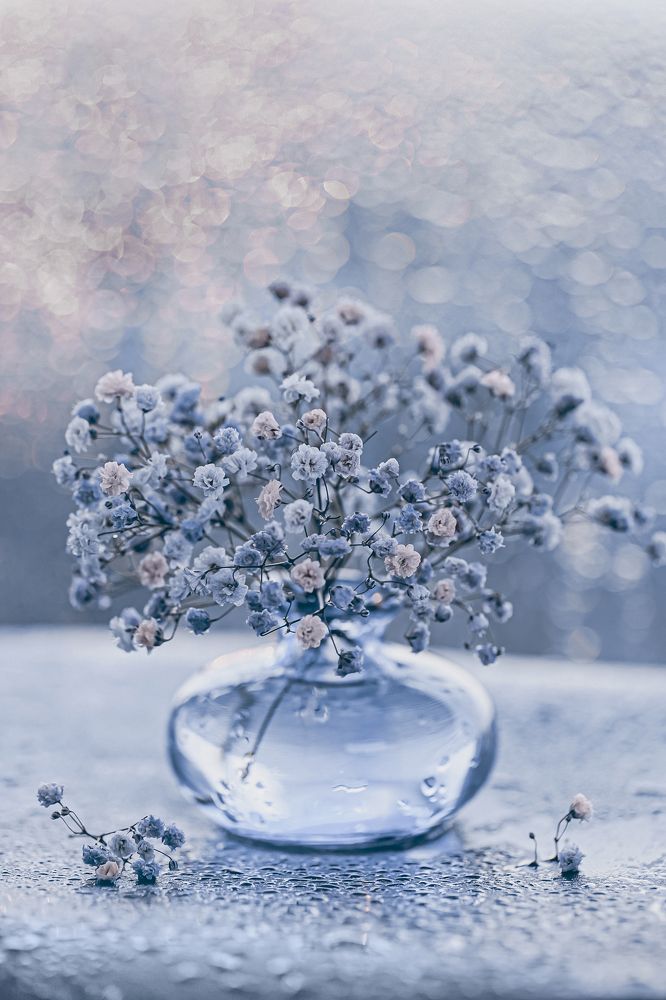 Photograph by Алена Полетаева