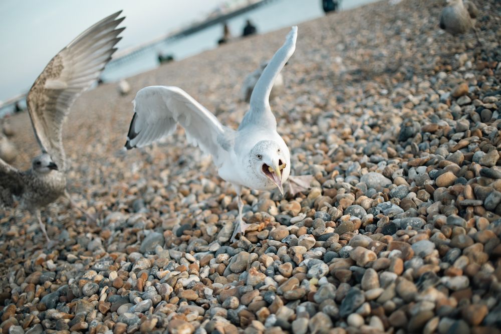 Photograph by Evgeniia Zorina