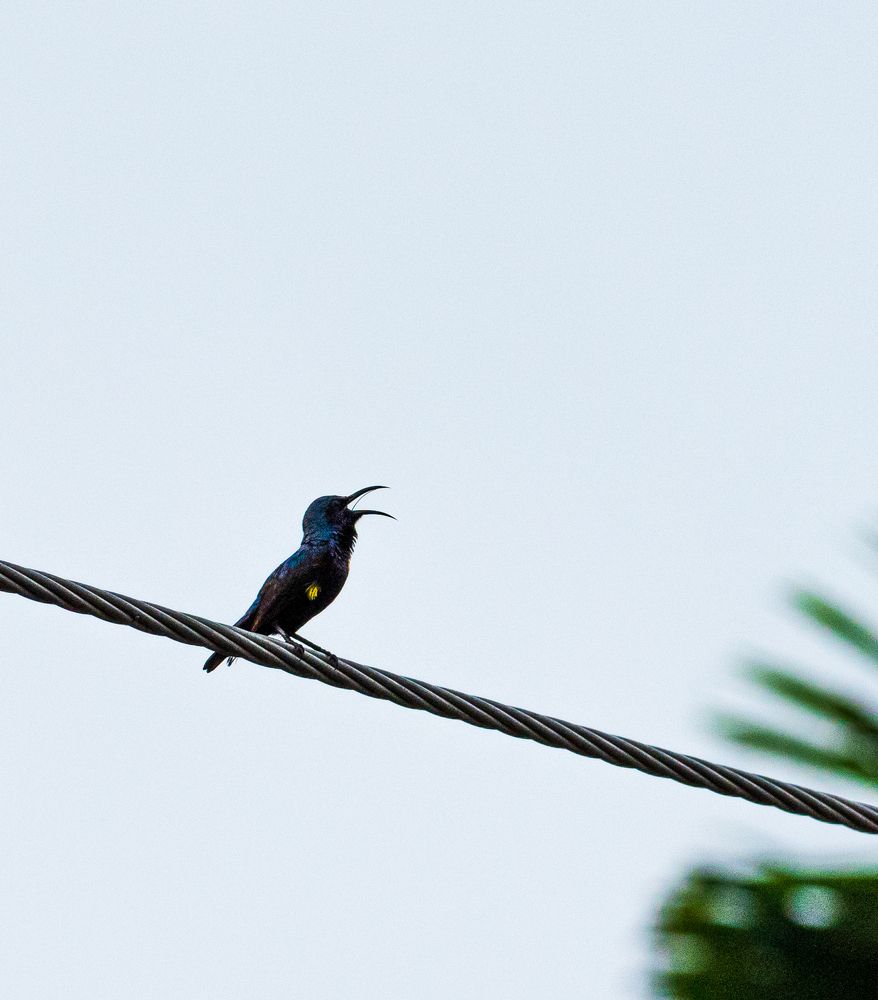 Photograph by Sudip Dey