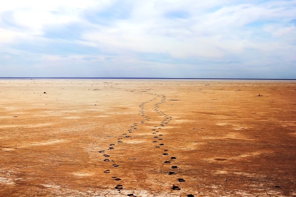 Photograph by Мария Покотилова