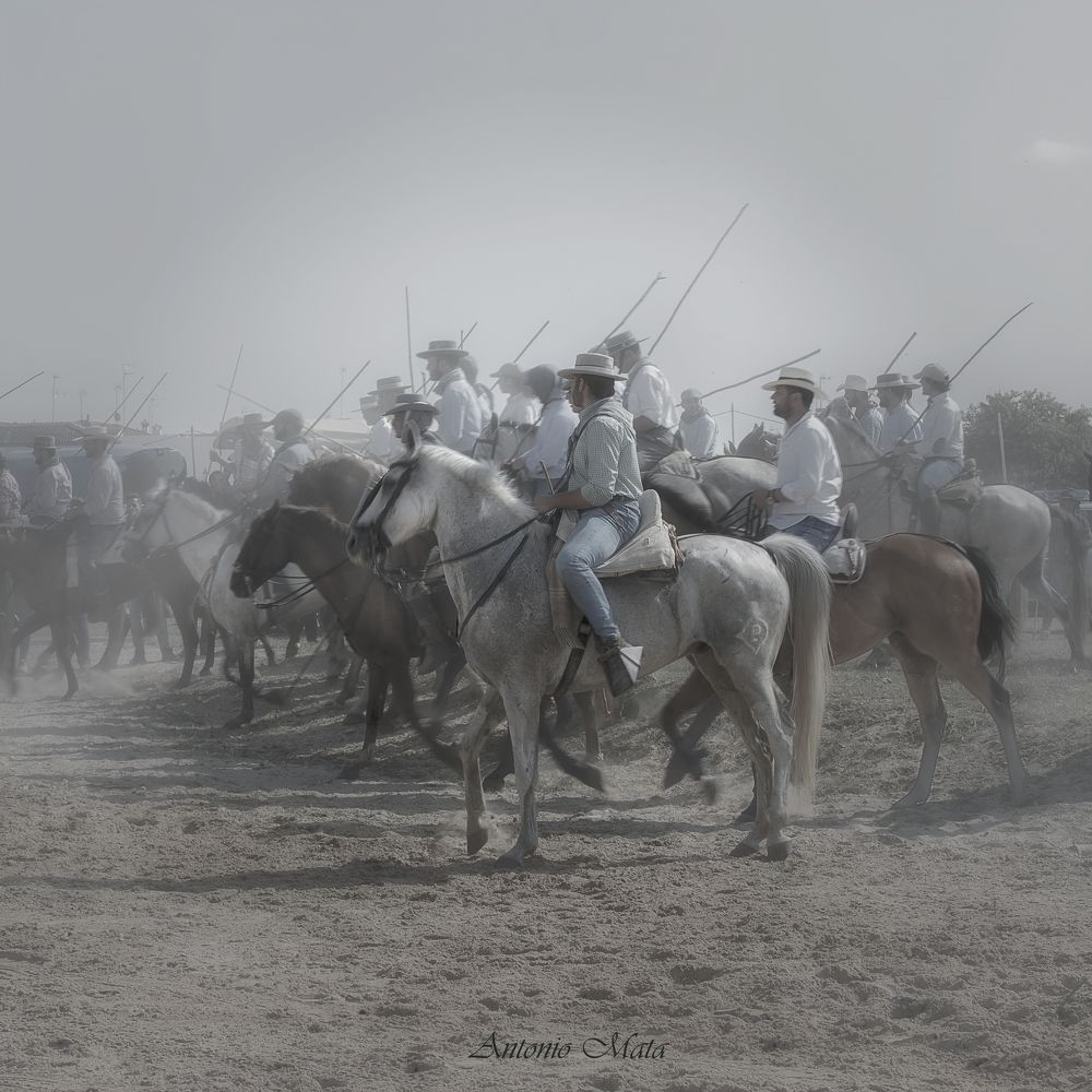 Photograph by ANTONIO MATA CUEVAS