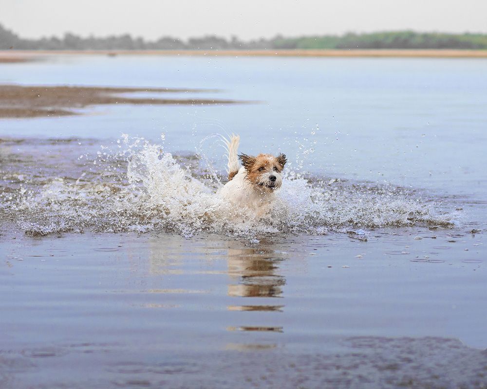 Photograph by Виктория Сафонова