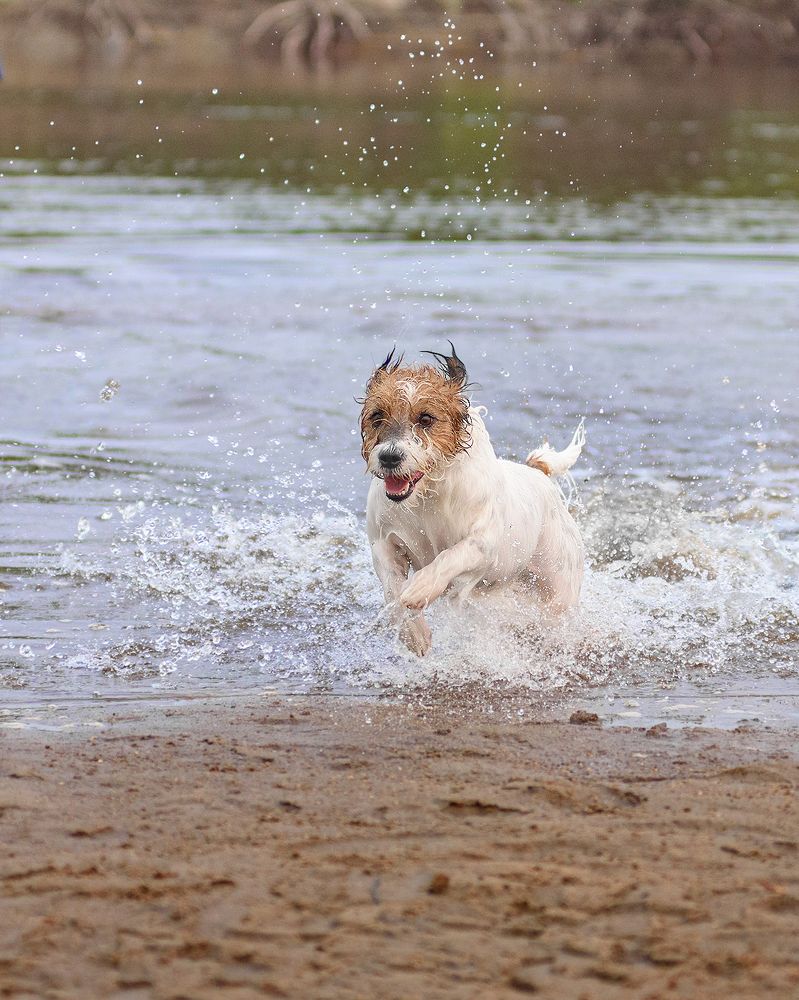 Photograph by Виктория Сафонова