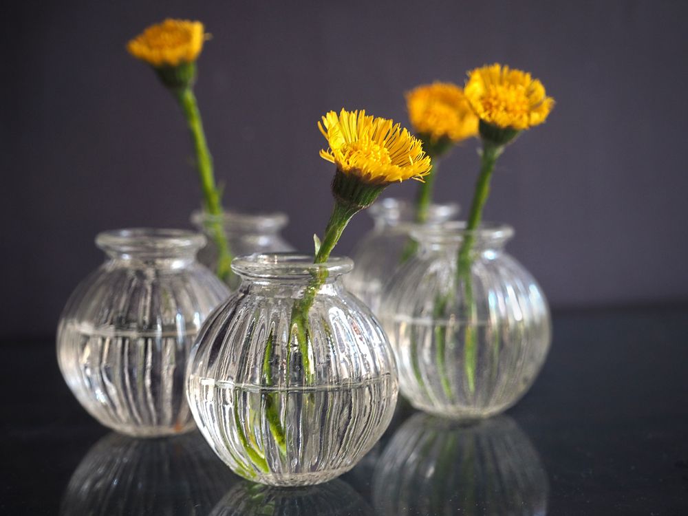 Фотография автора Vera Eremeeva