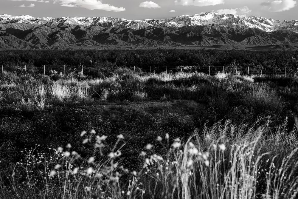 Photograph by Estevan Luis Caires dos Anjos