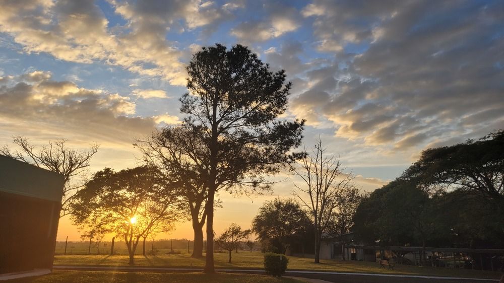 Photograph by Gilson Marcos Ferreira de Oliveira