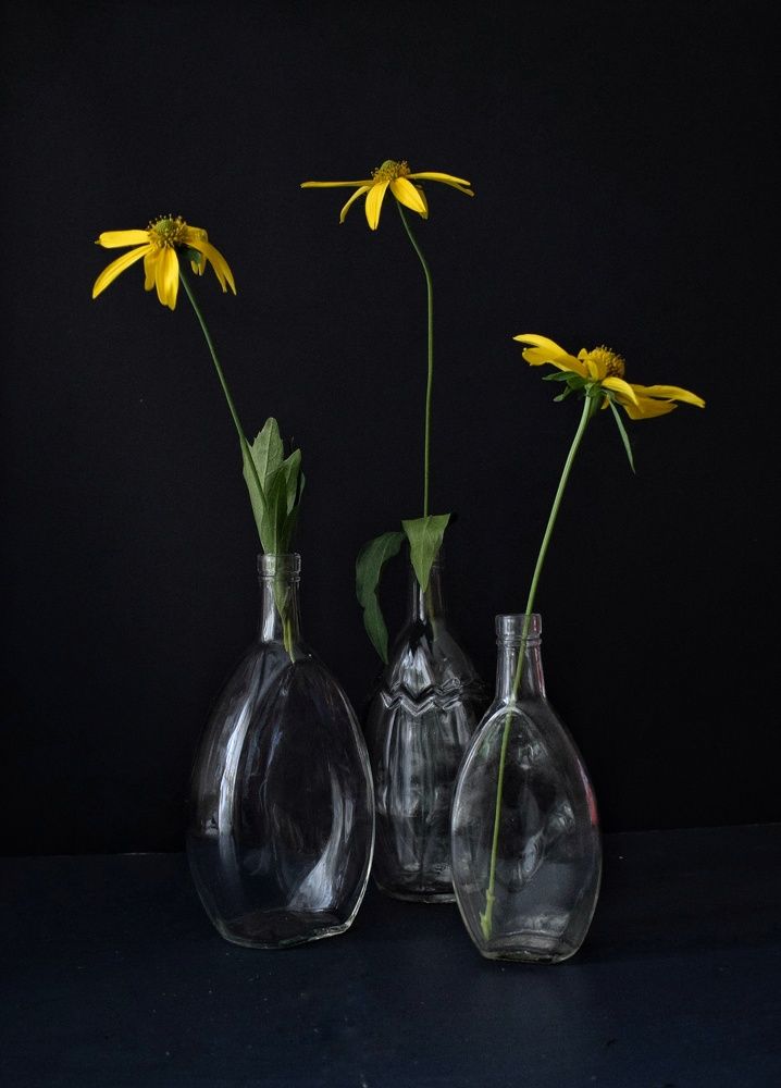 Photograph by Шабышева Антонина Михайловна