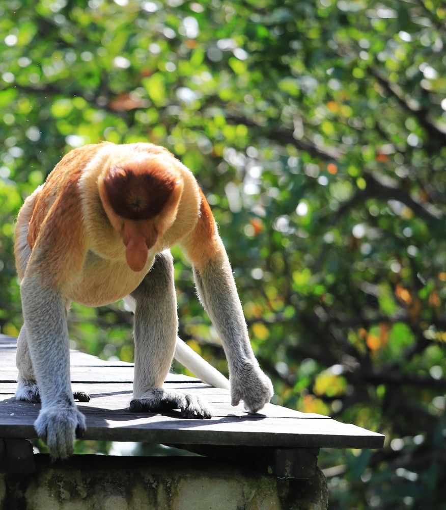 Photograph by Максимушкина Ольга