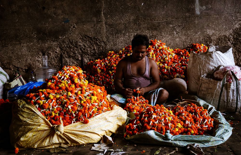 Фотография автора Soumalya Das