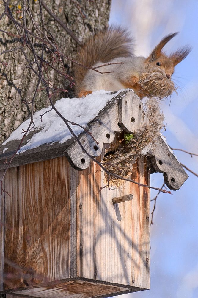 Photograph by Валерий Абдулзябаров