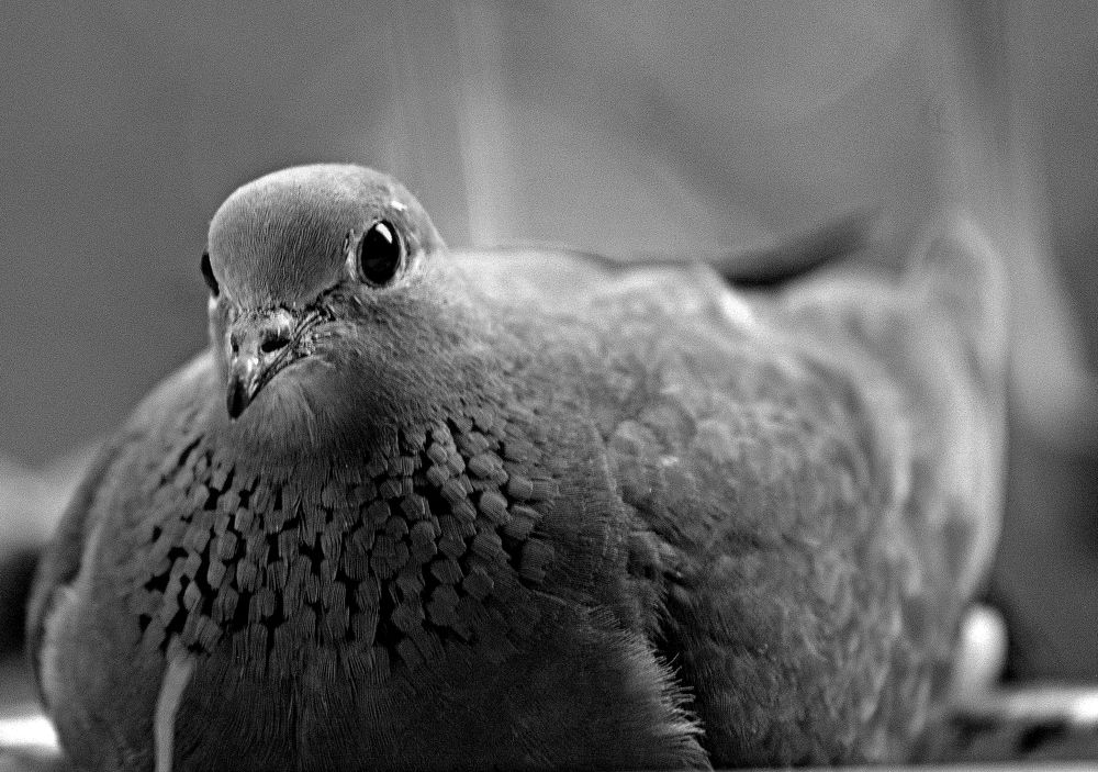 Photograph by Сергей Рапопорт