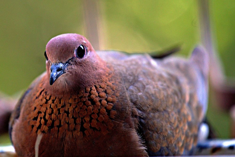 Photograph by Сергей Рапопорт