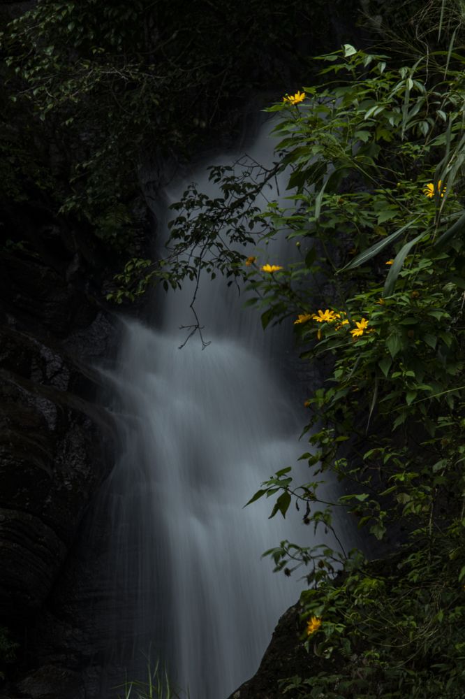Photograph by Chamara Sulakkhana Polwatta Siriyalage