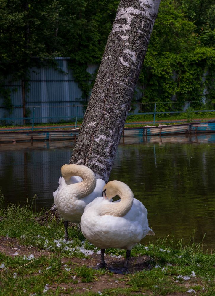 Фотография автора Виталий Дузь