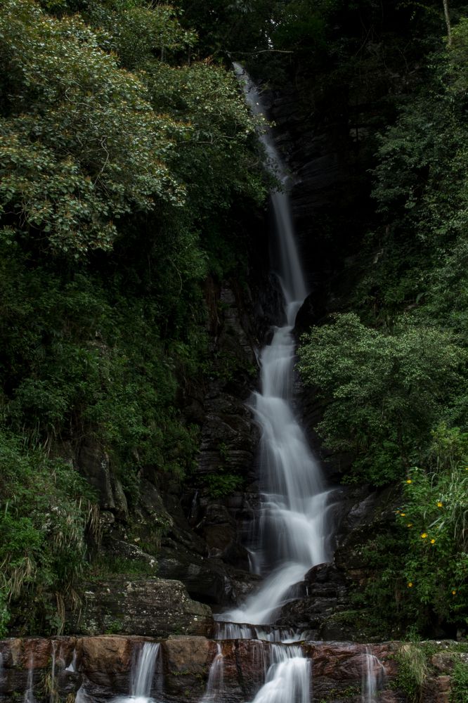 Photograph by Chamara Sulakkhana Polwatta Siriyalage