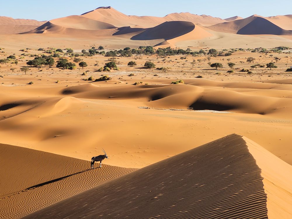 Photograph by Павел Сазанов