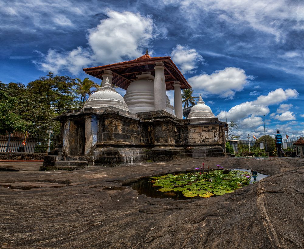 Photograph by Chamara Sulakkhana Polwatta Siriyalage