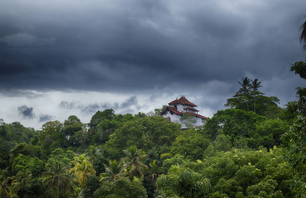 Photograph by Chamara Sulakkhana Polwatta Siriyalage