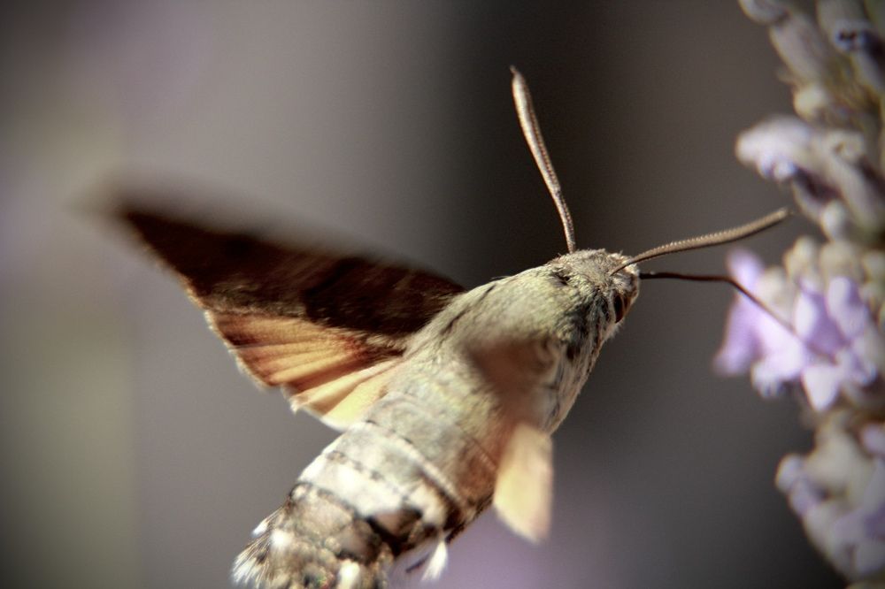 Photograph by Юлия Вялкова