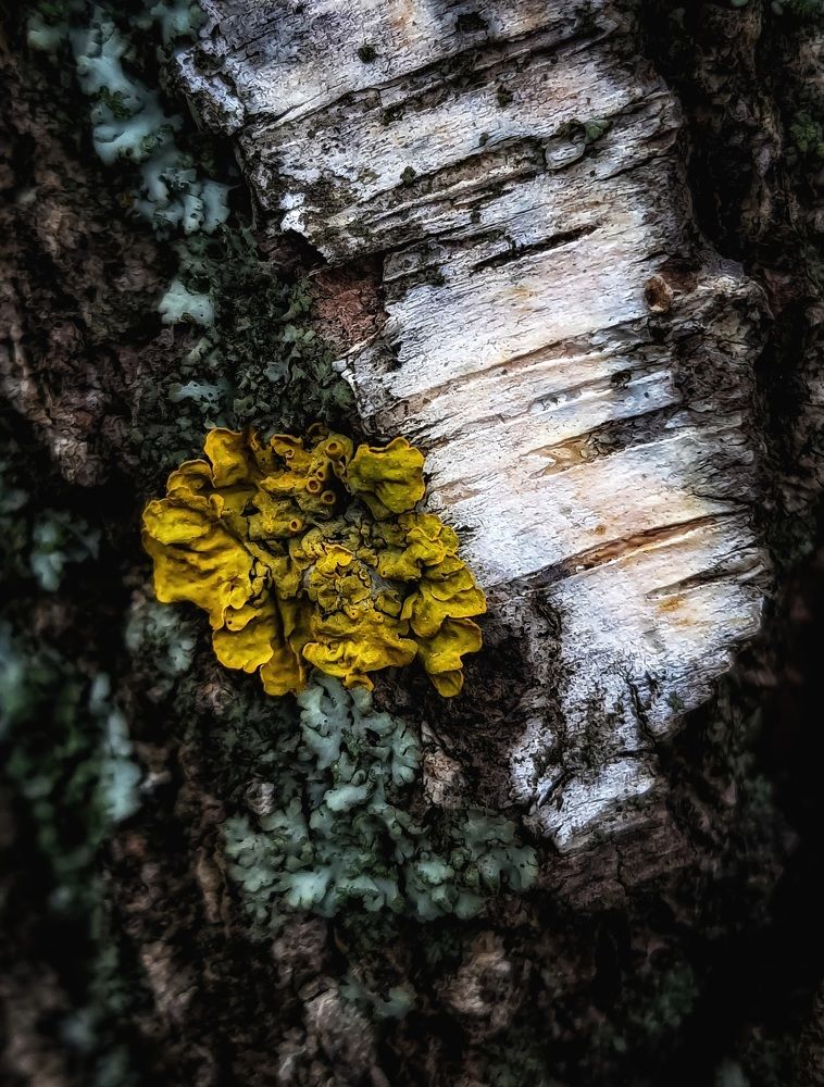 Photograph by Эльвира Куликова