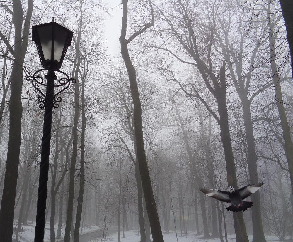 Photograph by Екатерина Щербина