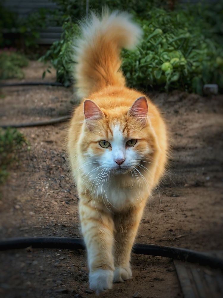 Photograph by Сергей Зайцев