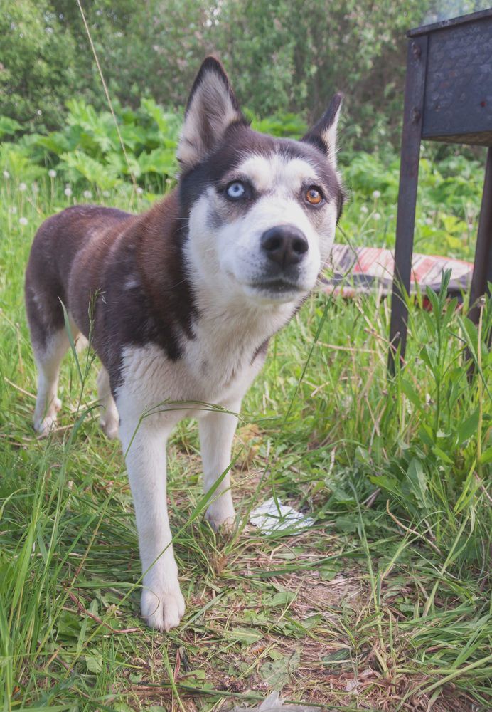 Фотография автора Виталий Дузь